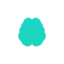 Mental Clarity & Cognitive Support