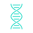 Cellular Health & Repair Processes
