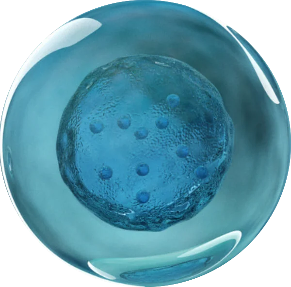 Чому партнери обирають TrueMed Ukraine